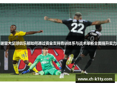 谢里夫足球俱乐部如何通过资金支持青训体系与战术革新全面提升实力 谢里夫足球俱乐部如何通过资金支持青训体系与战术革新全面提升实力